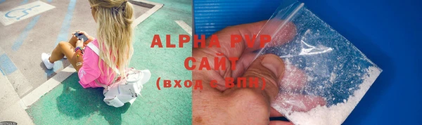 сатива Надым