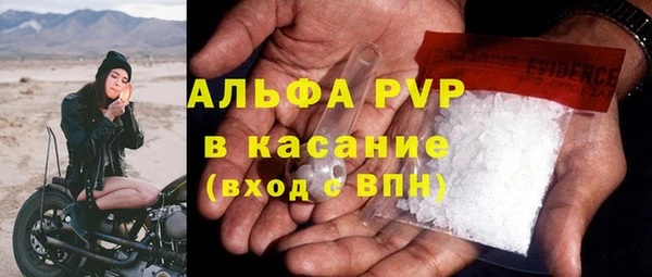 сатива Надым