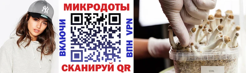 Купить закладки  Богородск  Псилоцибиновые грибы мухоморы 